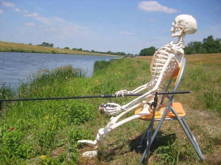 Funny - 560094546442282105813235195162n.jpg